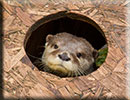 Scarborough SEA LIFE Sanctuary - 22nd August 2014