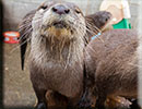 Scarborough SEA LIFE Sanctuary - 22nd August 2014