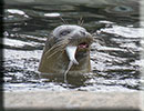 Scarborough SEA LIFE Sanctuary - 22nd August 2014