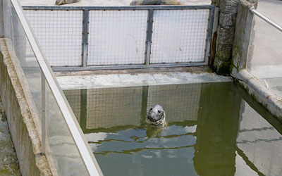 Fatima in the nursery pool