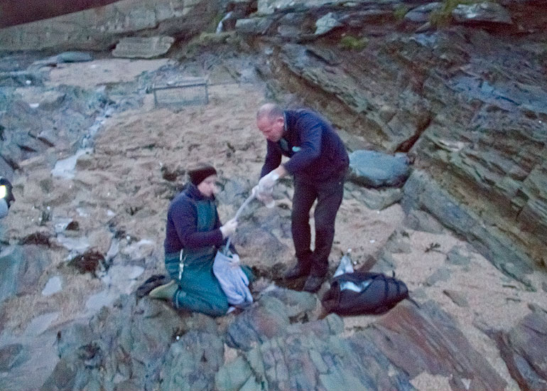 Seal Rescue