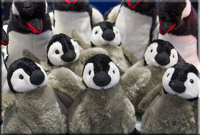 A selection of Penguins on sale in the gift shop