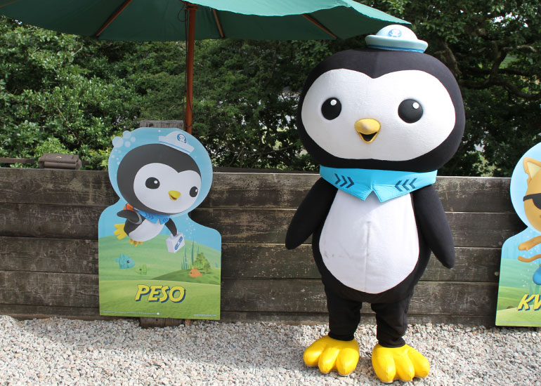The Octonauts