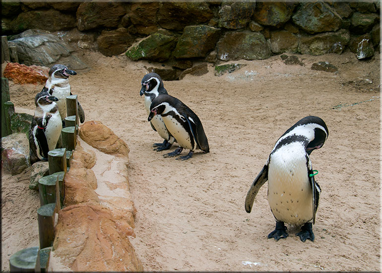 Hunstanton Sea Life Sanctuary