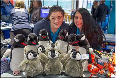 A selection of Penguins on sale in the gift shop