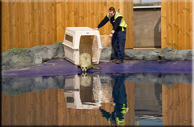 Hunstanton SEA LIFE Sanctuary