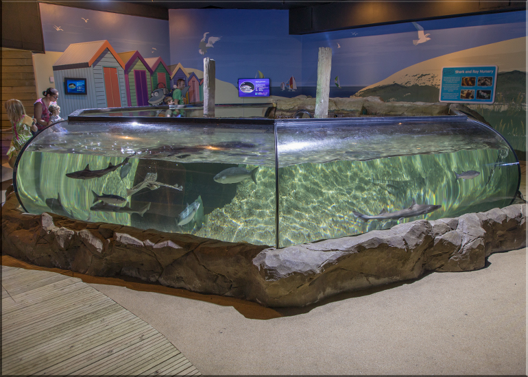 Hunstanton Sea Life - May 2017 news update