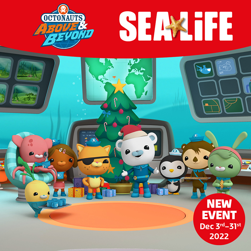 The Octonauts are returning to SEA LIFE Hunstanton for Christmas! Between 3rd and 31st December 2022