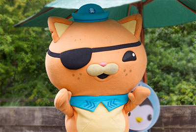 Octonauts Training Academy