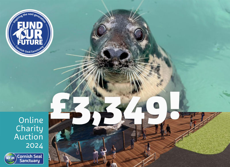 Online Charity Auction - August 2024