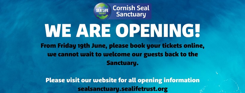 Cornish Seal Sanctuary opens on 19th June 2020