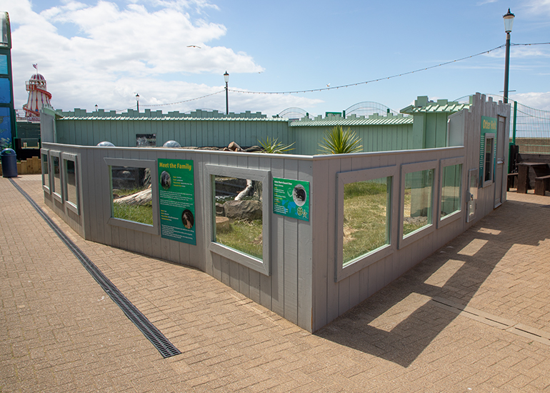 New Otter Enclosure