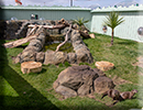 Otters - May 2022