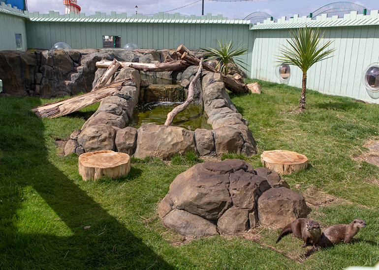 New Otter Enclosure