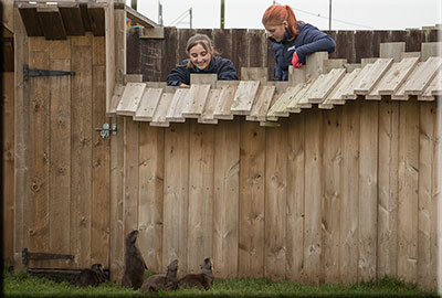 Otters