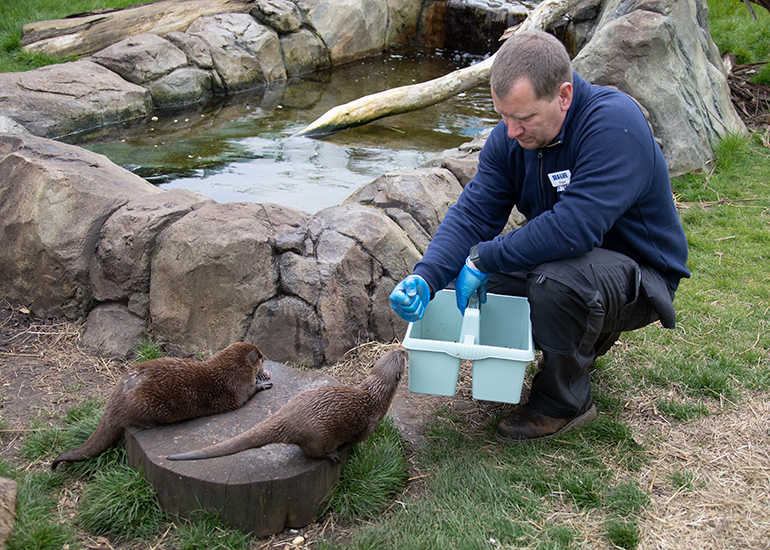 Otter Enclosure