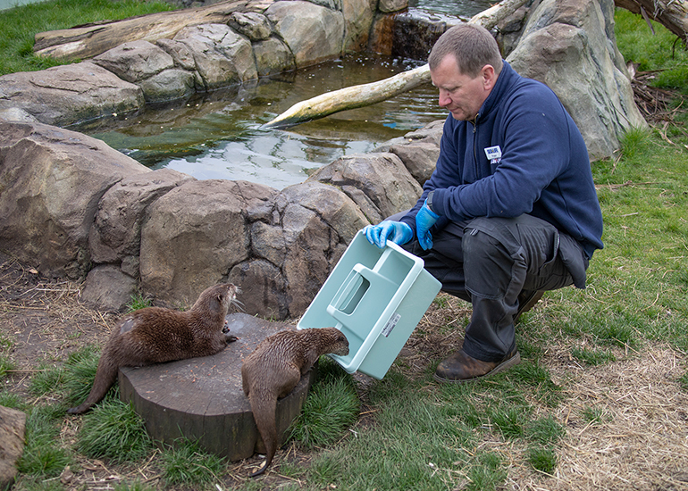 Otter Enclosure