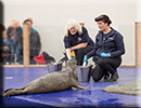 Paige and Joyce feeding the seals - July 2015