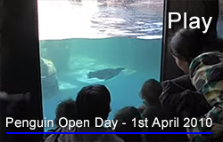 Penguin Open Day - 1st April 2010