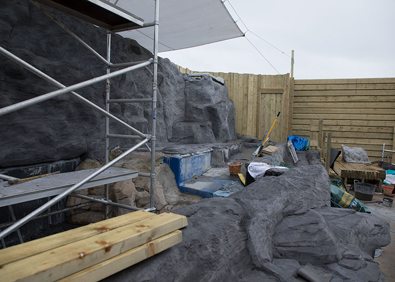Penguin Exhibit Refurbishment - photo taken on 11th March  2018