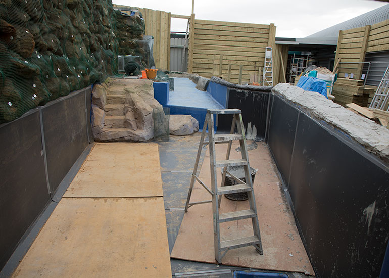 Penguin Exhibit Refurbishment - photo taken on 17th February 2018