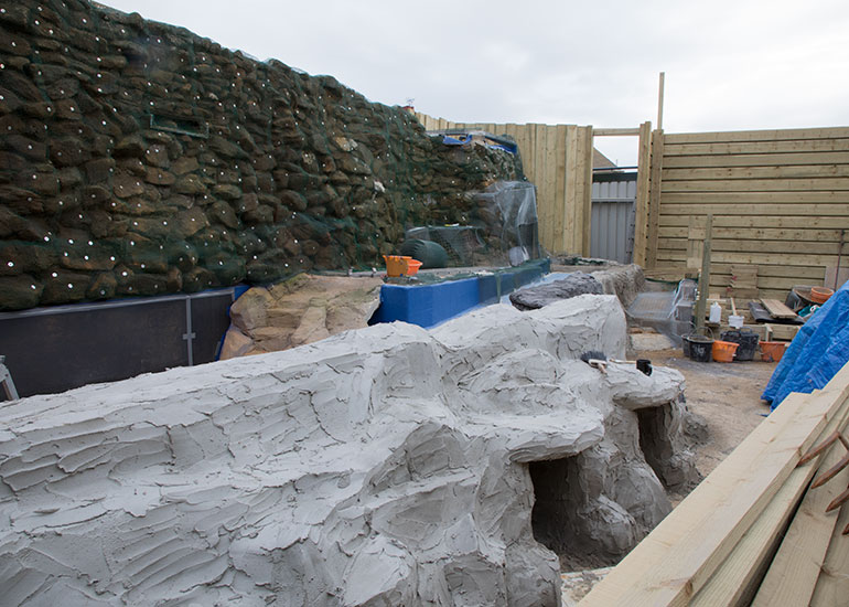 Penguin Exhibit Refurbishment - photo taken on 17th February 2018