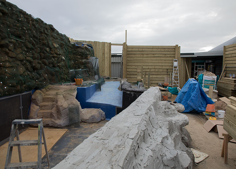 Penguin Exhibit Refurbishment - photo taken on 17th February 2018