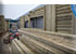 Refurbishment of the Penguin enclosure