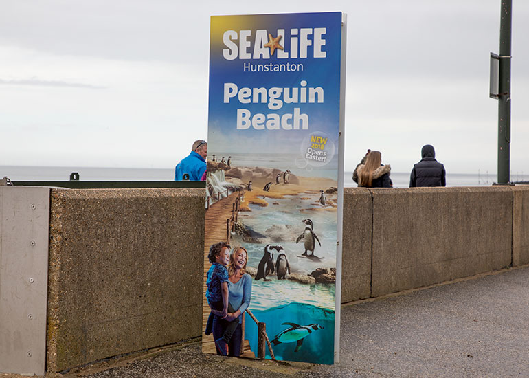 Penguin Beach Poster