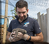 First ever Humboldt Penguin chick to be born at Hunstanton Sea Life