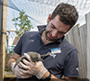 First ever Humboldt Penguin chick to be born at Hunstanton Sea Life
