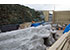 Refurbishment of the Penguin enclosure