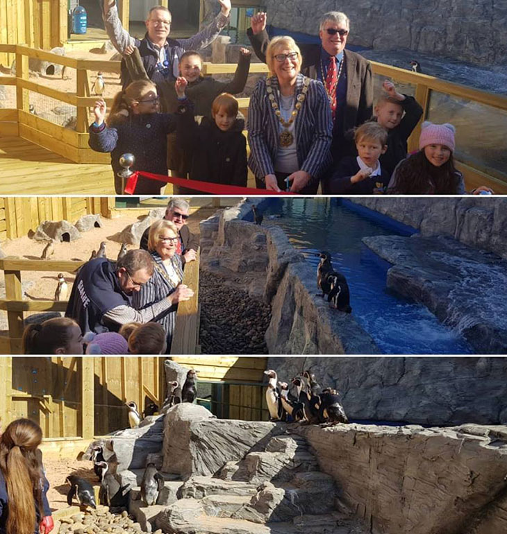 Penguin Beach now open for Easter 2018 - Photos by Photos by Adam Makinson
