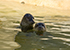 Residents