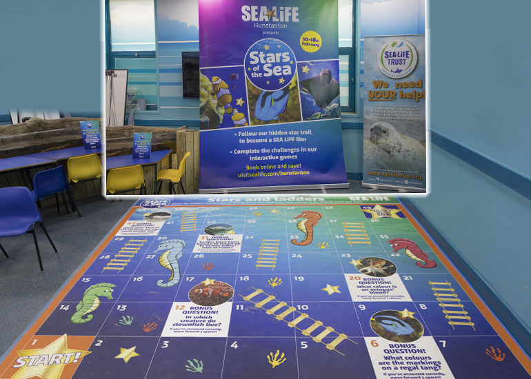 Stars of the Sea