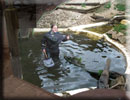 Otters - Jo, the Aquarist, cleaning the Otters enclosure
