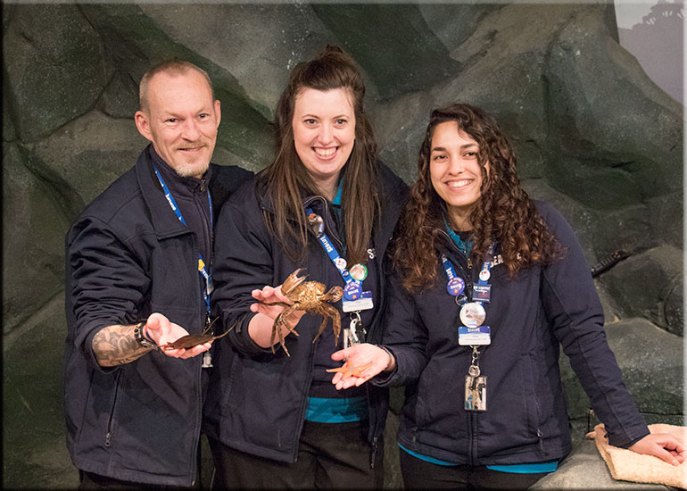 Hunstanton SEA LIFE Sanctuary