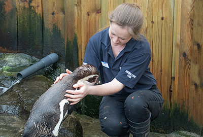 Jemma with one of the Penguins