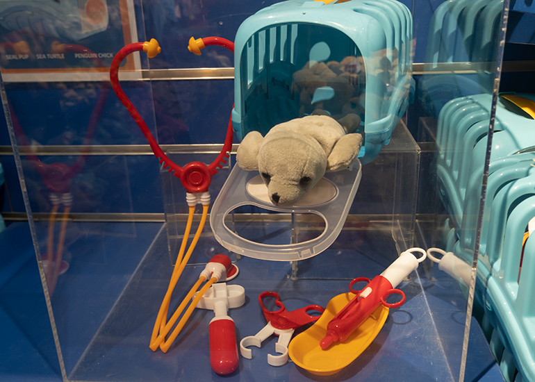 Seal Vets