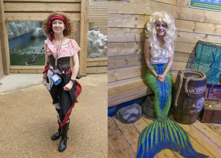 The Pirates and Mermaids