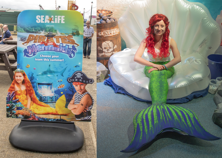 The Pirates and Mermaids