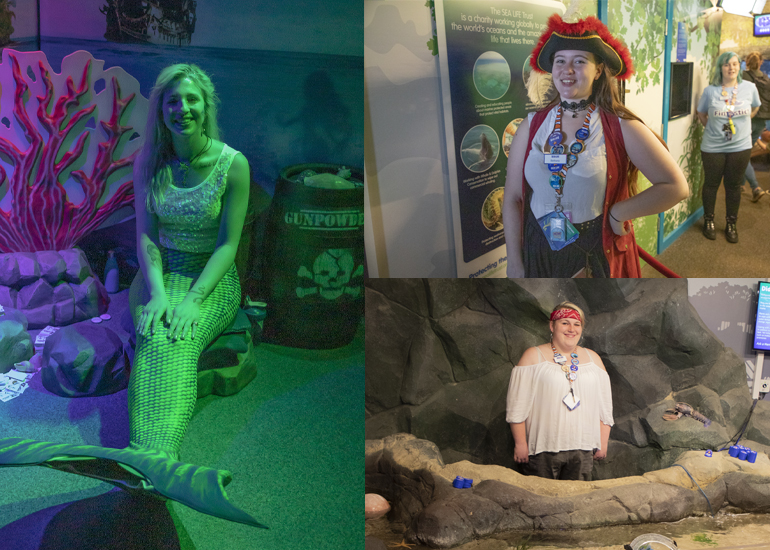 The Pirates and Mermaids