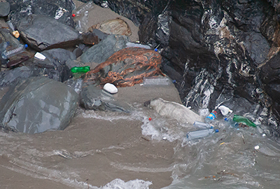 Plastic Bottles left on Beaches