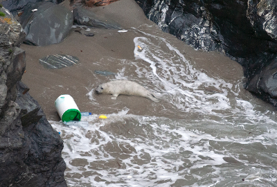 Plastic Bottles left on Beaches
