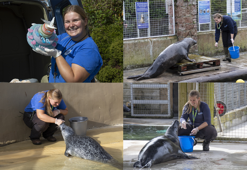 Polly - Animal Care Team specialists