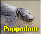 Poppadom