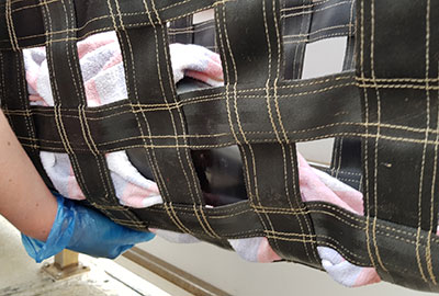 Stranded Porpoise Defies All the Odds