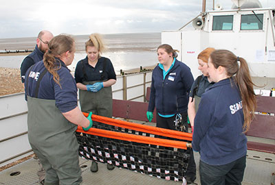 Stranded Porpoise Defies All the Odds