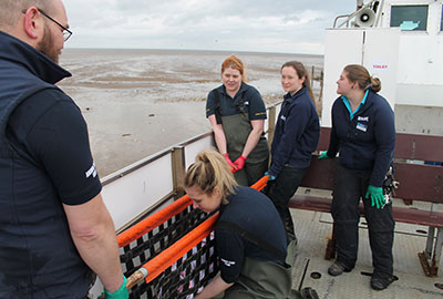 Stranded Porpoise Defies All the Odds