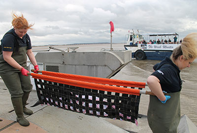 Stranded Porpoise Defies All the Odds